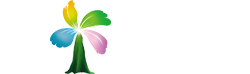 海口匠硫尔网络科技有限公司