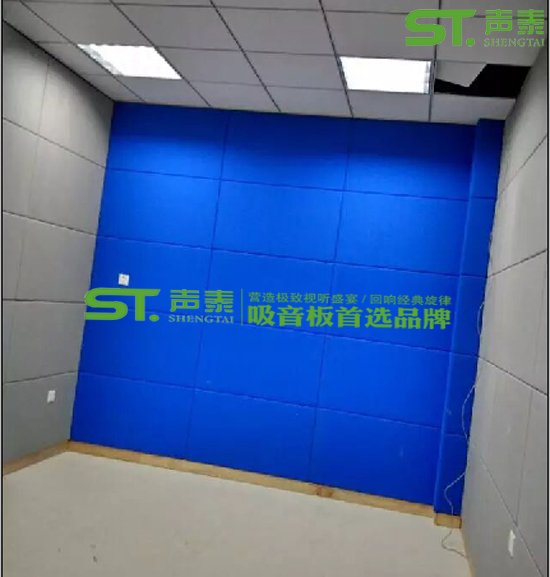 詢(xún)問(wèn)室木質(zhì)穿孔吸音板與皮革吸音軟包搭配效果(圖2)