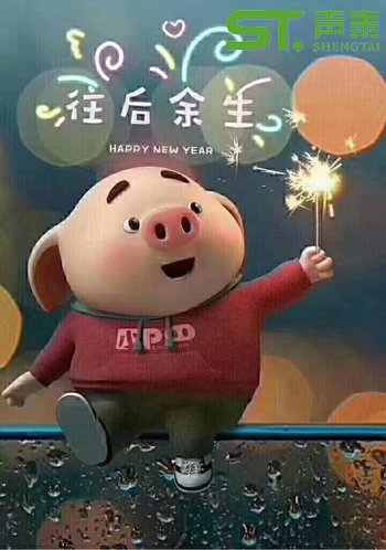 聲泰(佛山)全體員工恭祝大家2019新春快樂(圖6) 聲泰(佛山)全體員工恭祝大家2019新春快樂(圖6)